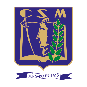 Mesa de trabajo 22 copia 5